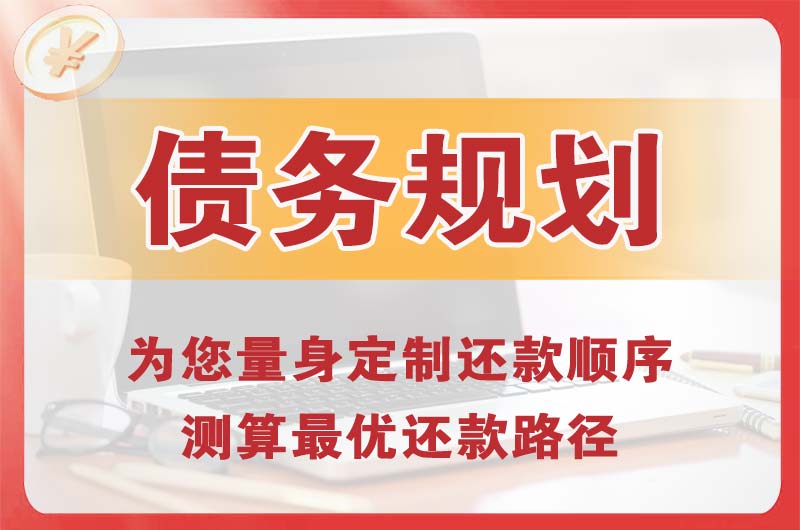 霍邱债务规划